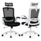 Adjustable Swivel Task Chair Ergonomic Office Chair with Adjustable Lumbar Support